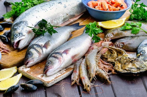 fish and seafood